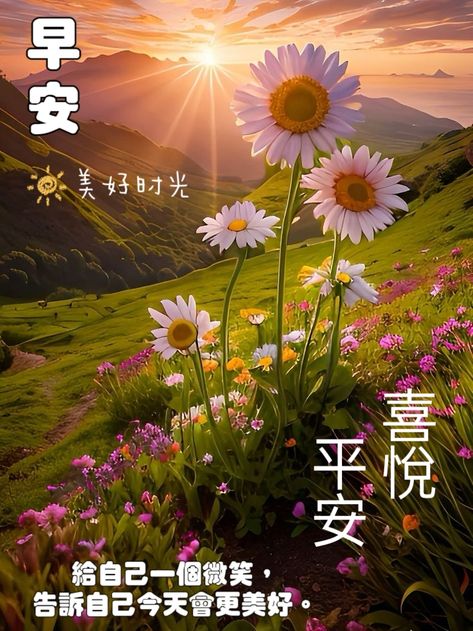 按我可連結至更清楚的圖片